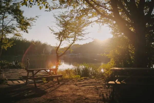 Piknik Zdrowia nad Jeziorem Sławskim – podsumowanie wydarzenia