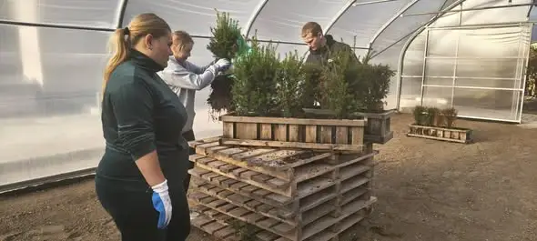 Uczniowie z Serbów uczyli się ogrodnictwa w Centrum Ogrodniczym Tulipan